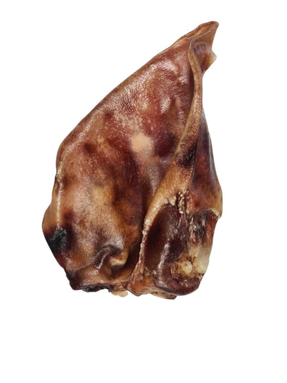 Oreille de Cochon 🐖