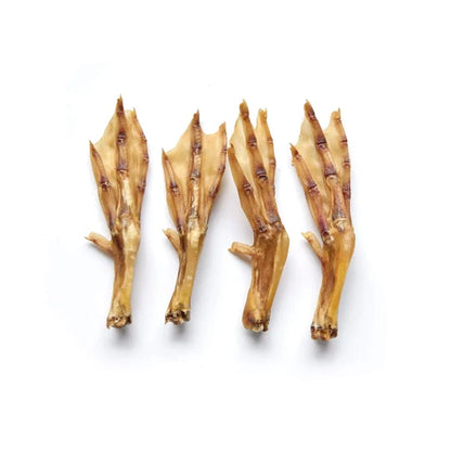 Patte de Canard 🦆 ♥